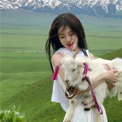 纽约孤儿 在线观看